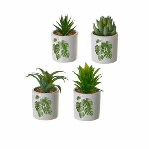 Sztuczne kwiaty zestaw 4 szt. Cactus – Casa Selección obraz