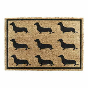 Wycieraczka z włókna kokosowego 40x60 cm Dachshund – Artsy Doormats obraz