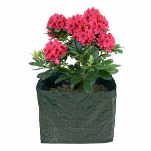 Podwyższona grządka – Garden Pleasure obraz