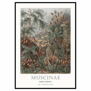 Obraz 51x71 cm Tafel 72 – Malerifabrikken obraz