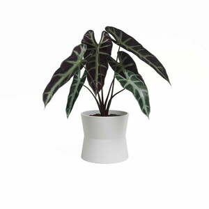 Ceramiczna doniczka ø 20 cm Diana – Artevasi obraz