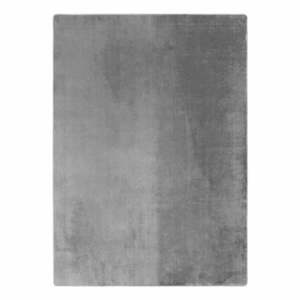 Jasnoszary dywan odpowiedni do prania 140x200 cm Joy 1400 – Ayyildiz Carpets obraz