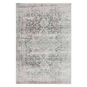 Szary dywan 80x150 cm Nova – Asiatic Carpets obraz