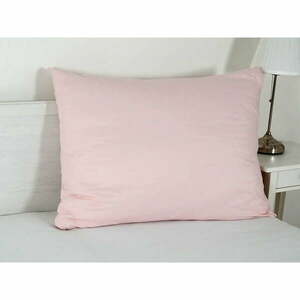 Poszewka na poduszkę z mikrowłókna 70x90 cm Summer – B.E.S. obraz