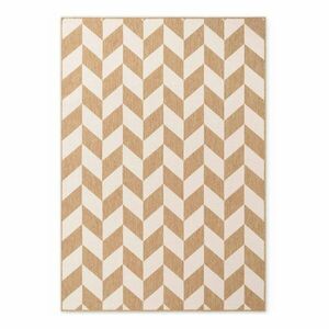 Kremowo-naturalny dywan odpowiedni na zewnątrz 200x300 cm Haringey Terrick – Ted Baker obraz