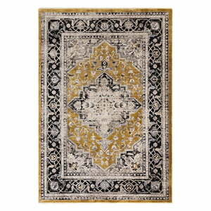 Dywan w odcieniach ochry 200x290 cm Sovereign – Asiatic Carpets obraz