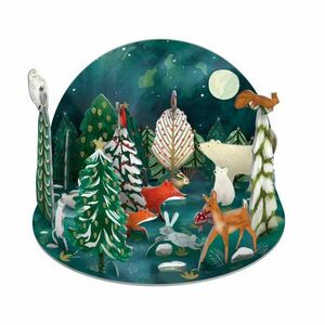 Kalendarz adwentowy Northern Lights – Roger la Borde obraz