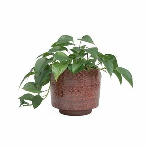 Ceramiczna ręcznie wykonana osłonka na doniczkę ø 21 cm Minerva – Artevasi obraz