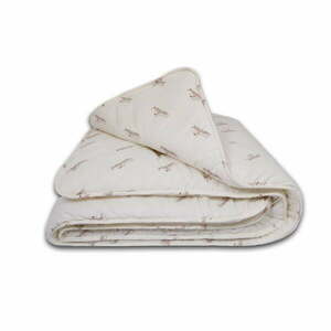 Kołdra całoroczna 200x200 cm Cashmere – Good Morning obraz
