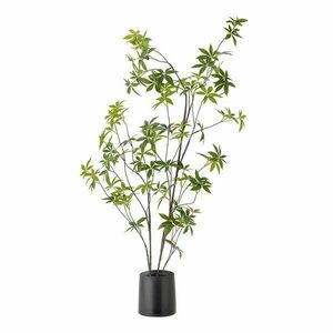 Sztuczna roślina (wysokość 160 cm) Palmatum – Bloomingville obraz
