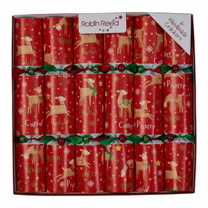 Crackery świąteczne zestaw 6 szt. Rudolph & Friends – Robin Reed obraz