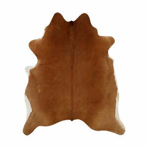 Brązowa skóra 210x200 cm – Narma obraz