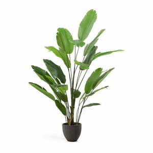 Sztuczny bananowiec (wysokość 210 cm) – Kave Home obraz