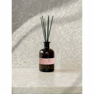 Dyfuzor #68 Peony, Linen, Fern – Perfumed Prague obraz