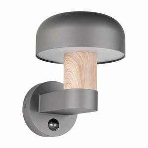 Zewnętrzna lampa ścienna (wysokość 24, 5 cm) Fraser – Trio obraz